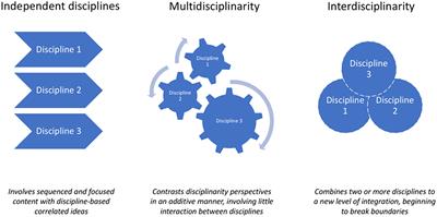 implementing interdisciplinary practice change in an international healthcare organizatio